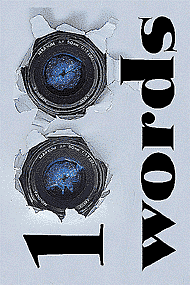 100 Words - 2011 poetry collection book