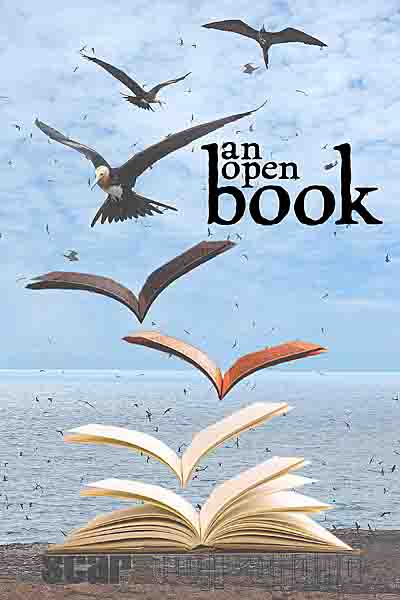 an open book - book front cover