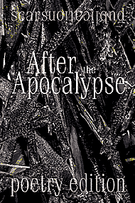 After the Apocalypse (poetry edition) collection book