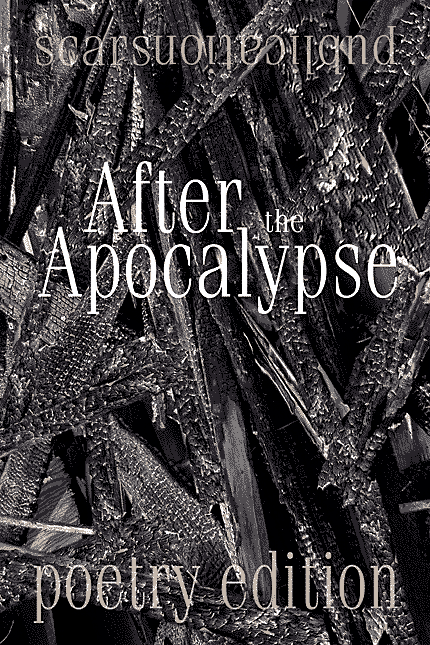 After the Apocalypse: the 2012 poetry edition collection book front cover