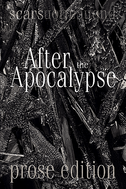 After the Apocalypse: the 2012 prose edition collection book front cover