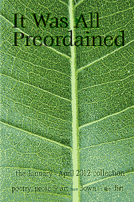 it-was-all-preordained (Down in the Dirt) issue collection book