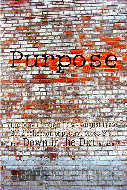 Purpose, dirt edition - book front cover