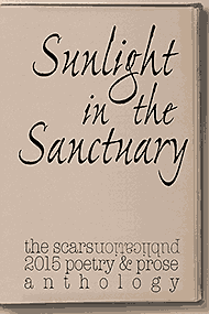 Sunlight in the Sanctuary anthology