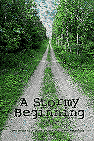 A Stormy Beginning (Down in the Dirt book) issue collection book