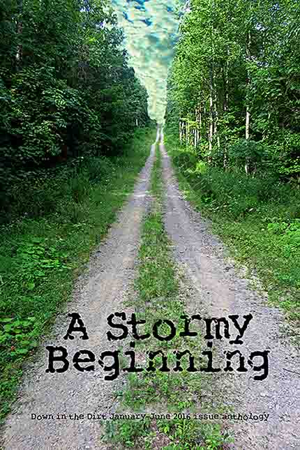a Stormy Beginning front cover