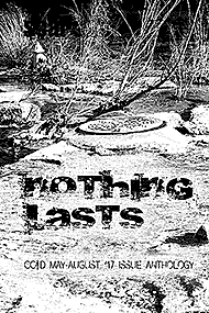 Nothing Lasts (cc&d book) issue collection book