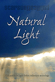 Natural Light anthology