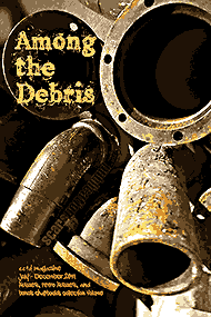 Among the Debris (cc&d book) issue collection book