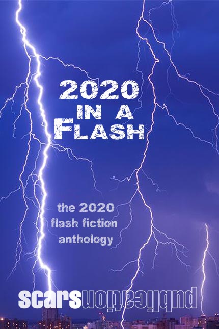 “2020 in a Flash” front cover