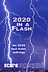 2020 in a Flash (2020 flash fiction and art book)