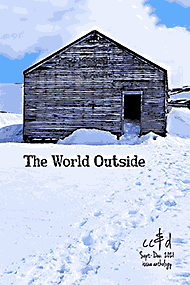 The World Outside (cc&d book) issue collection book
