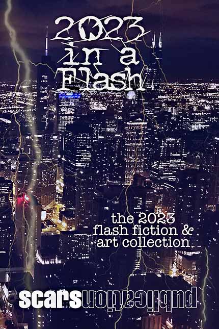 “2023 in a Flash” front cover