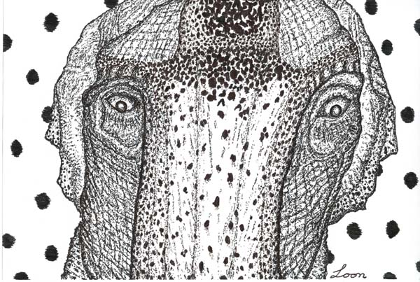 Elephantine Curioso, art by Brian Looney