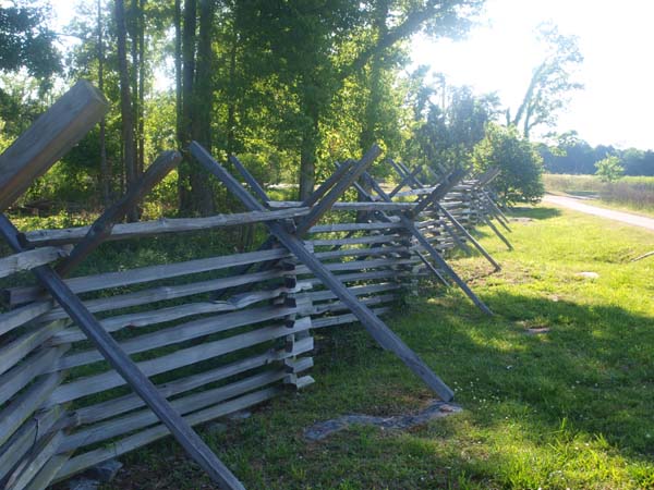 Split Rail Fence, art by David Michael Jackson