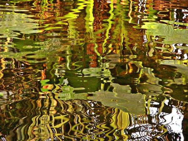 Pond Reflections, art by Olivier Schopfer