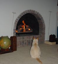 Cat at the Fire 01/15/05, art from John Yotko