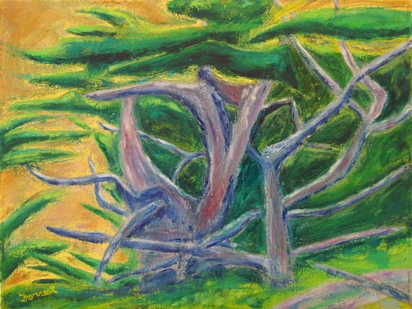 Cypress, art by Brian Forrest