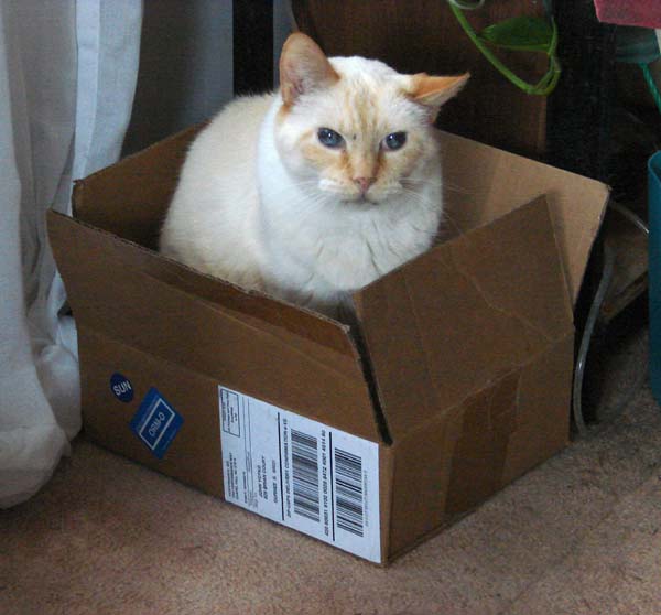 20090417johnny-in-a-box4057