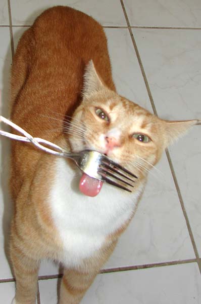 Weasley lickig a fork (5205) Feb. 19 2010