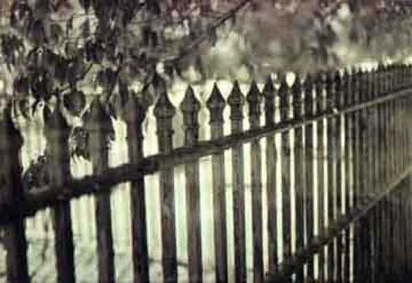 Fence, art by Cheryl Townsend