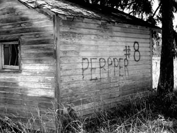 Peppper #8, photography by Cheryl Townsend