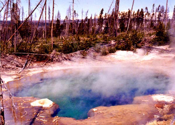 hot-springs-1998