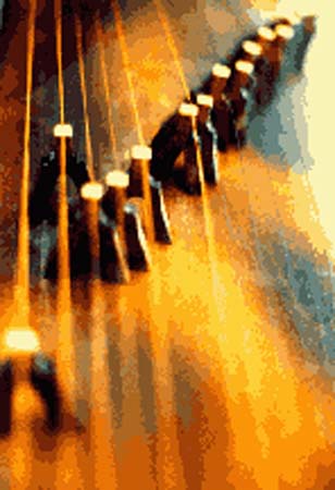 instrument strings