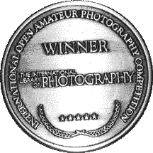 award winning pin