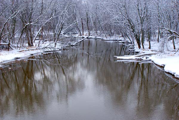 Snow on trees at the river, photograph copyright 2013-2016 Janet Kuypers