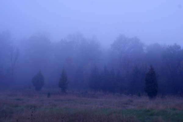 fog, copyright 2013-2016 Janet Kuypers