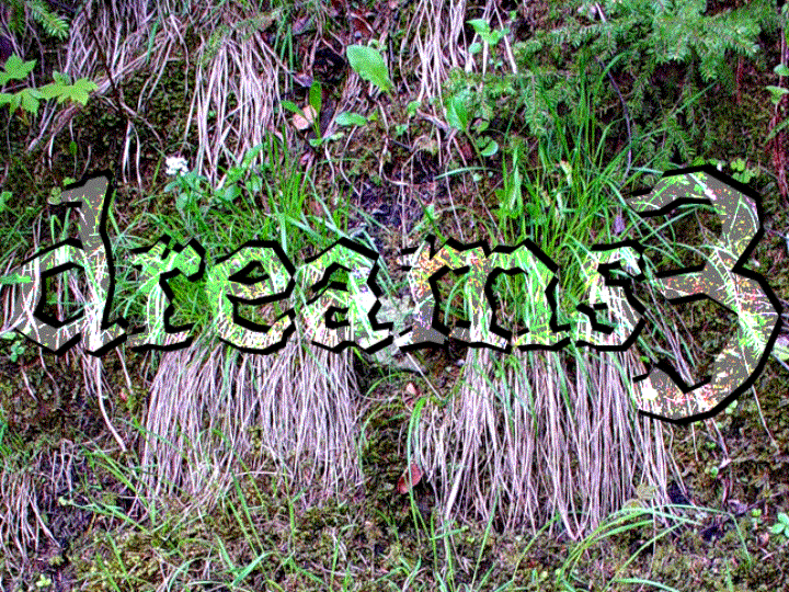Dreams 3 title