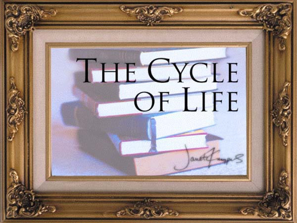 the cycle of life
