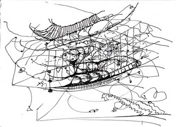 fishnet, drawing by the HA!Man of South Africa