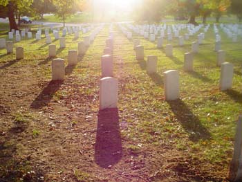  graves at Arlington Bational Cemetery, 10/23/03