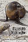 Flawed Cadaver