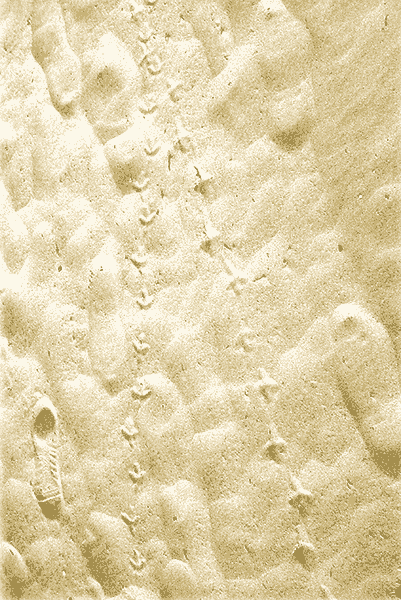 Fooorprints in the sands of a San Suan beach in Puerto Rico image copyright © 2003-2018 Janet Kuypers
