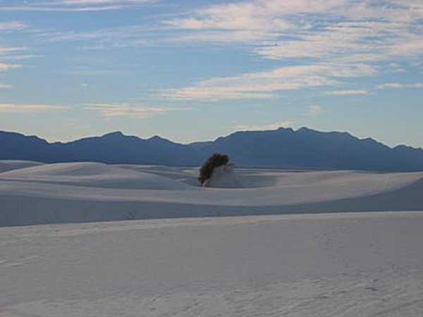 White Sands Scene, photography by Brian Hosey