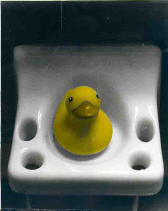 duck, by Mark Gaudet