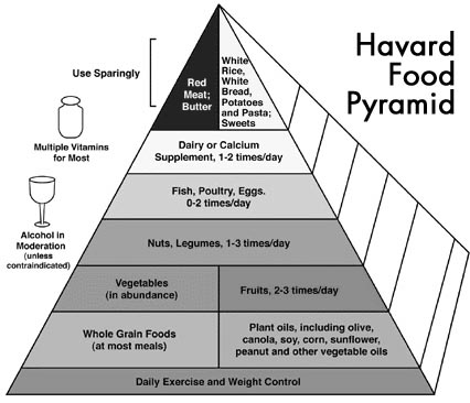 the Harvard Food Pyramid