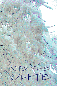 Into the White
