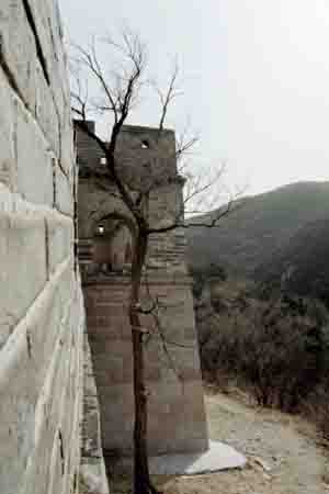 Great Wall of China image by John Yotko