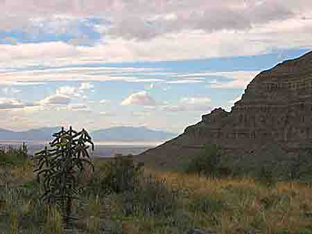 image from Osha, Dog Canyon, photographed by Brian Hosey