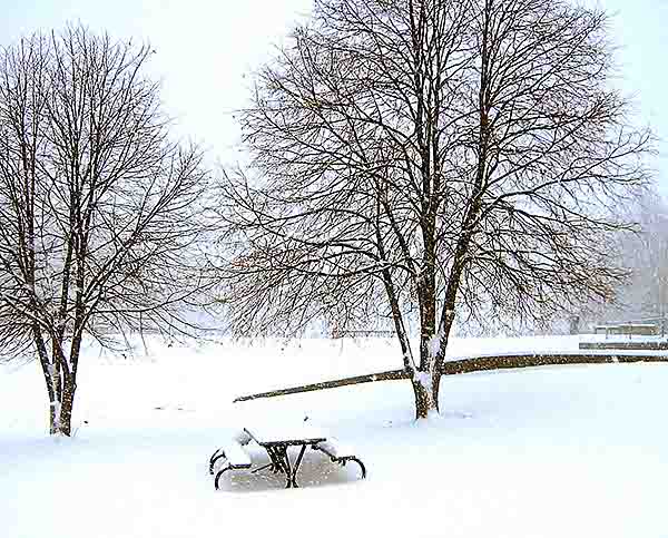 Snowy Park, art by Cheryl Townsend