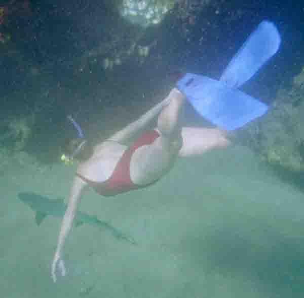 John Yotko photo of Janet Kuypers swimming down to a white-tipped shark off the Galapagos Islands in December 2007