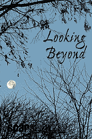 Looking Beyond