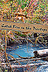 Catch Fire in the Treetops