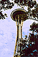 the Seattle Space Needle (Seattle, WA)