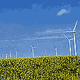 Indiana windmills