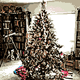 Instagram of Christmas tree